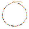 Colorful 5