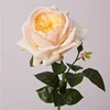Champagne rosato