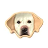 Labrador