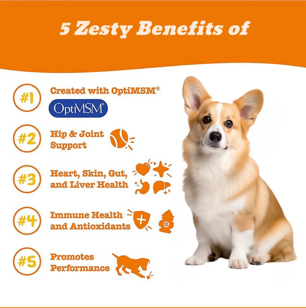 OEM Private Label Calming Supplement for Dogs and Cats Pet Food Supplements by Manufacturer for Stressed or Nervous Animals