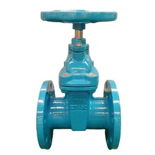 Customized F4 soft seal gate valve Cast iron flange manual standard copper gland lifting female gate valve