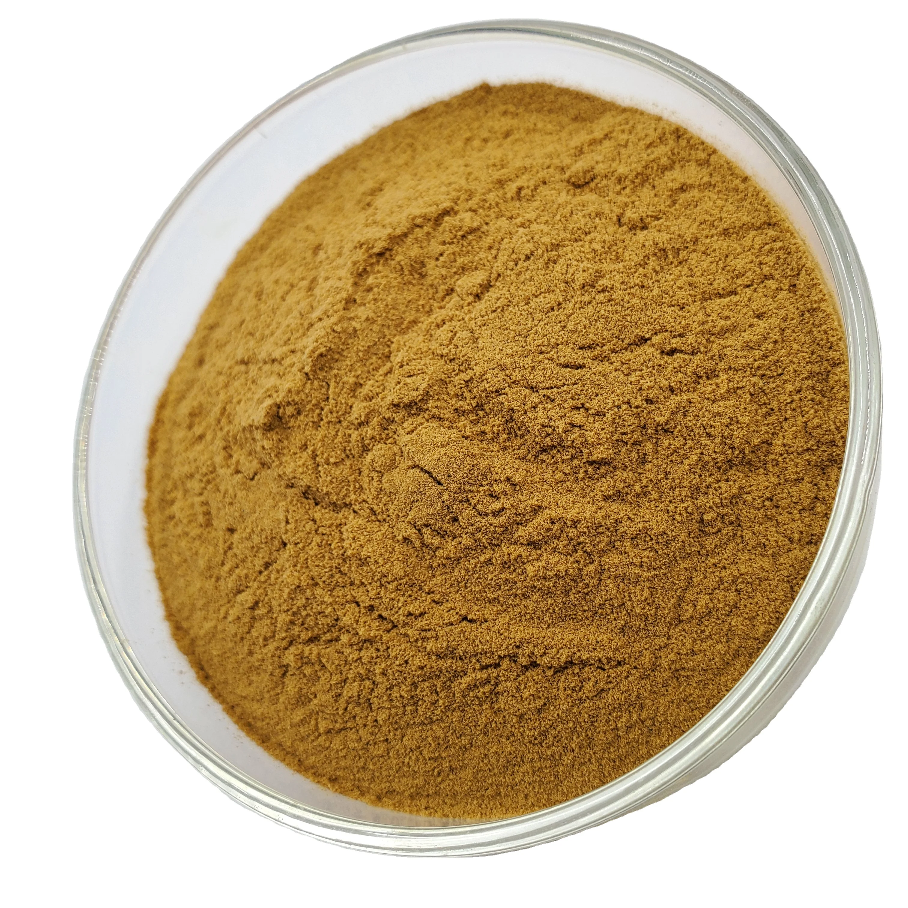 factory price bulk plantain leaf extract powder