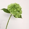 Verde oscuro