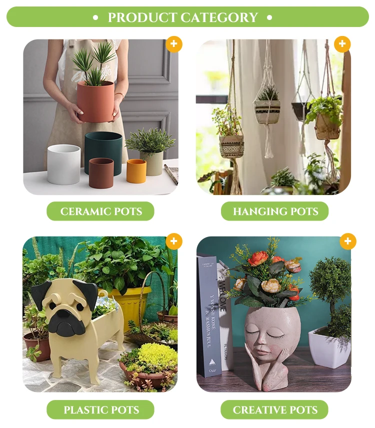 Glowing Light Up Outdoor Illuminated Flower Plant Pot Color Changing