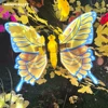 โหมดคงที่แสงสีขาวอบอุ่น