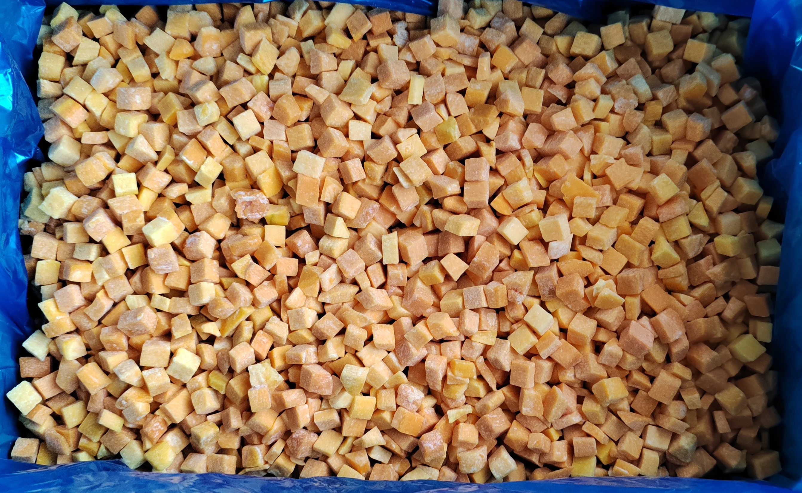 الجملة بالجملة 10 كجم لكل صندوق يقطين مجمد مكعبات فواكه IQF قطع يقطين خضروات مجمدة