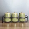 Emerald green [granules]