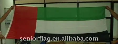 UAE national flag.jpg