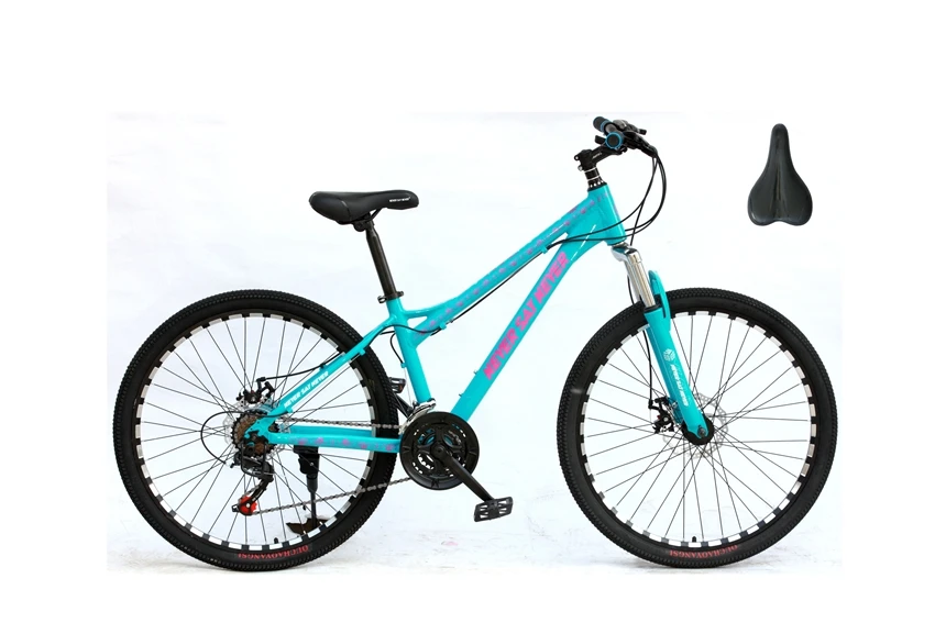 29er xl frame