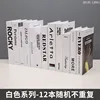 2813c-12061-bianco serie-12 copie