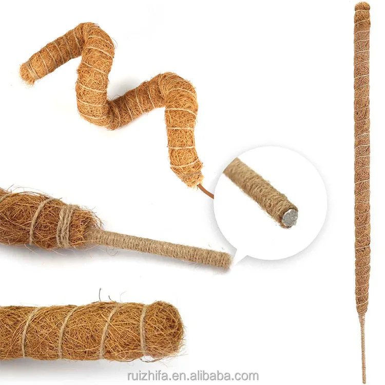 60cm Bendable Coir Pole Sticks Support Stakes for Monstera Indoor Potted  Plants Moss Pole Climbing Supports for Garden and Home| Alibaba.com