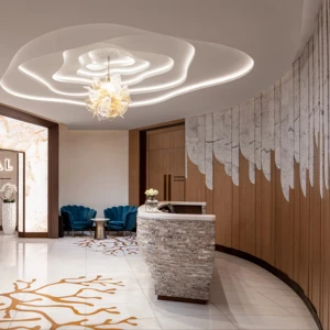 ECOJAS Restaurant Villa Office Hotel Customized New Design Project Lighting Chandelier