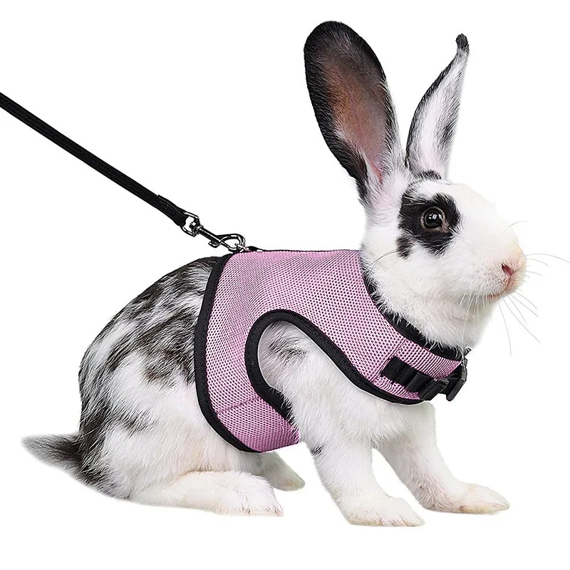 Specialized Vest Style Rabbit Lead Set Breathable Pet Harness for Rabbit