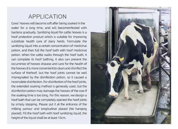 Cow Hoof Bath Cattle Hoof Disinfecting Plastic Foot Bath Animal Hoof