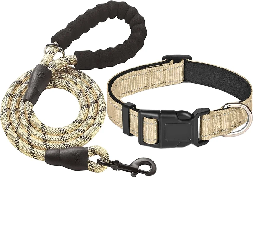 Manufacturer Custom Logo Luminous Nylon Dog Collar And Leash Set Luxury