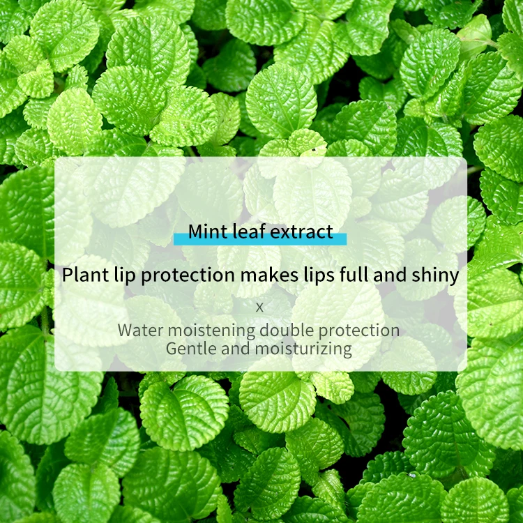 BIOAQUA Cosmetics Private Label 10g Lip Balm Scrub Lip Moisturizing Nourishing Smooth Exfoliating Cream Vegan Mint Lip Gel