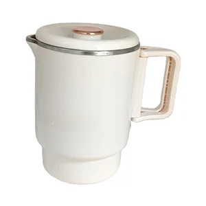 Best-Selling 1L Electric Kettle New Design 304 Stainless Steel Water Jug travel kettle