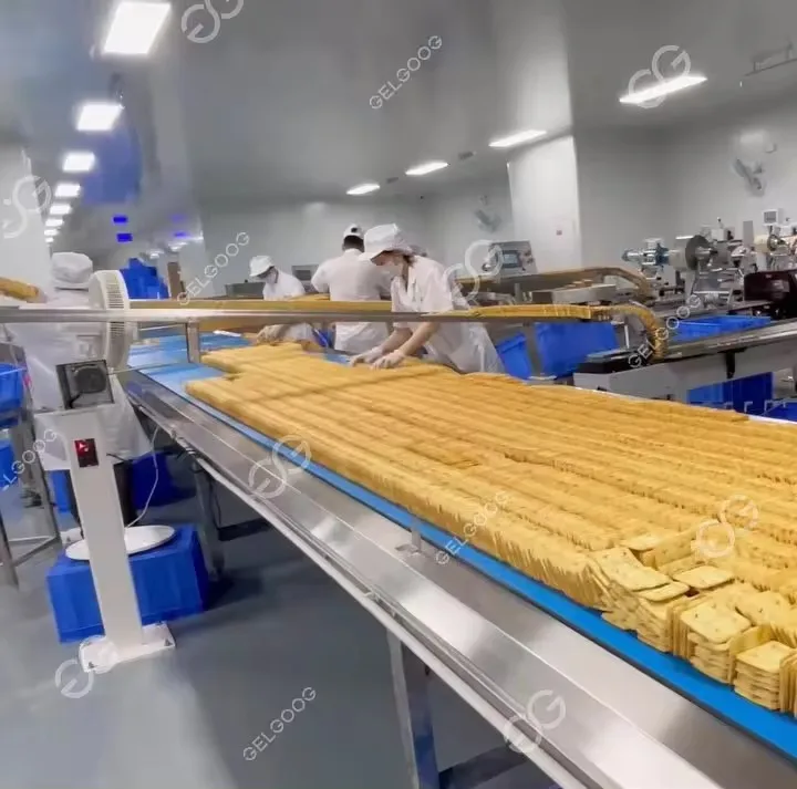 Gelgoog China Bakery Electric Oven Plasm Biscuit Making Machine Rectangular Almond Biscuit Forming Machine