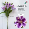ลิลลี่ก้านสั้นพิมพ์ 3 มิติสามหัว สีม่วง