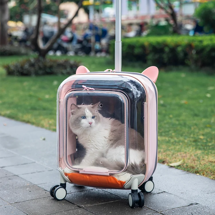 outdoor cat carrier