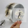 Étiquette transparente
