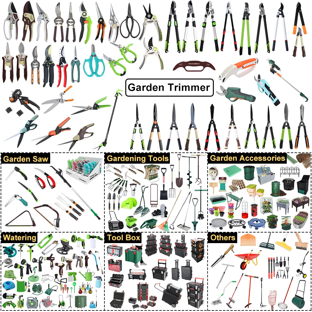 Chinese Mustard Greens, Zaub Ntsuab Kav Ntswj Loj Seeds Heirloom Non-GMO  (1000+ Seeds), image size:1001x1001