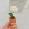 Mini planta en maceta Puffflower
