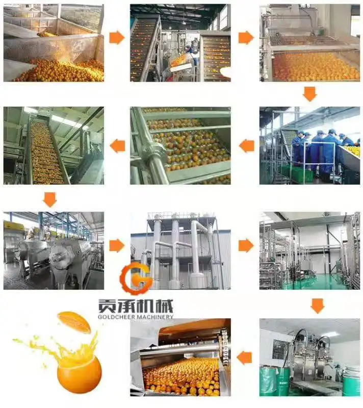 2023 Natural apple Juice Machines Pomegranate Juice Machine Spare Parts Passion Orange Guava mango Juicer Processing Line