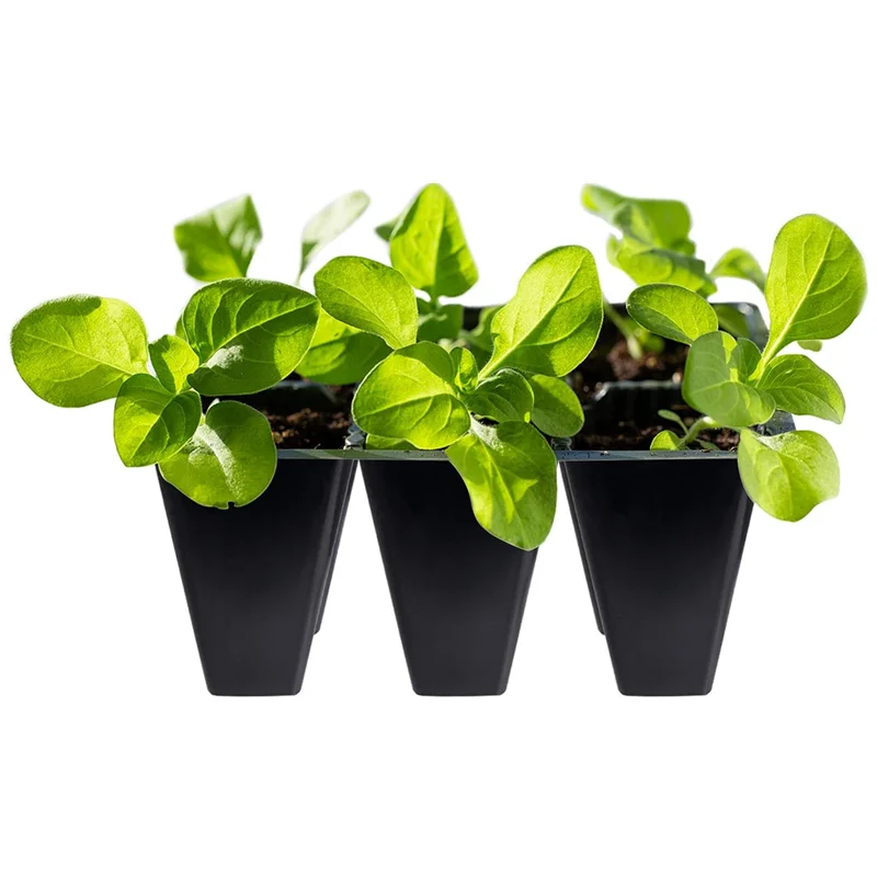 Extra Large Deep Root Trainer Seed Tray 6 40 48 Cells Reusable Seed Starter Tray 50 98 128 200 Holes Seeding Nursery Tray