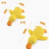 Canard d'accompagnement moyen