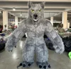 Grigio