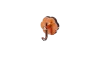 Oro rosa