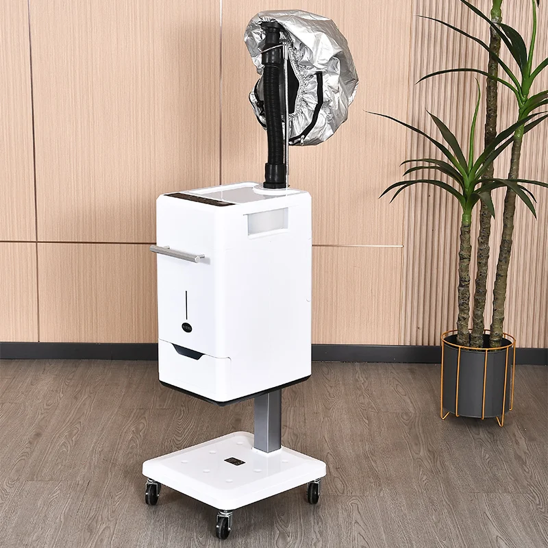 Peluquería Ozono Nano Micro Mist Hair Spa Máquina de vapor Estilo blanco de  lujo