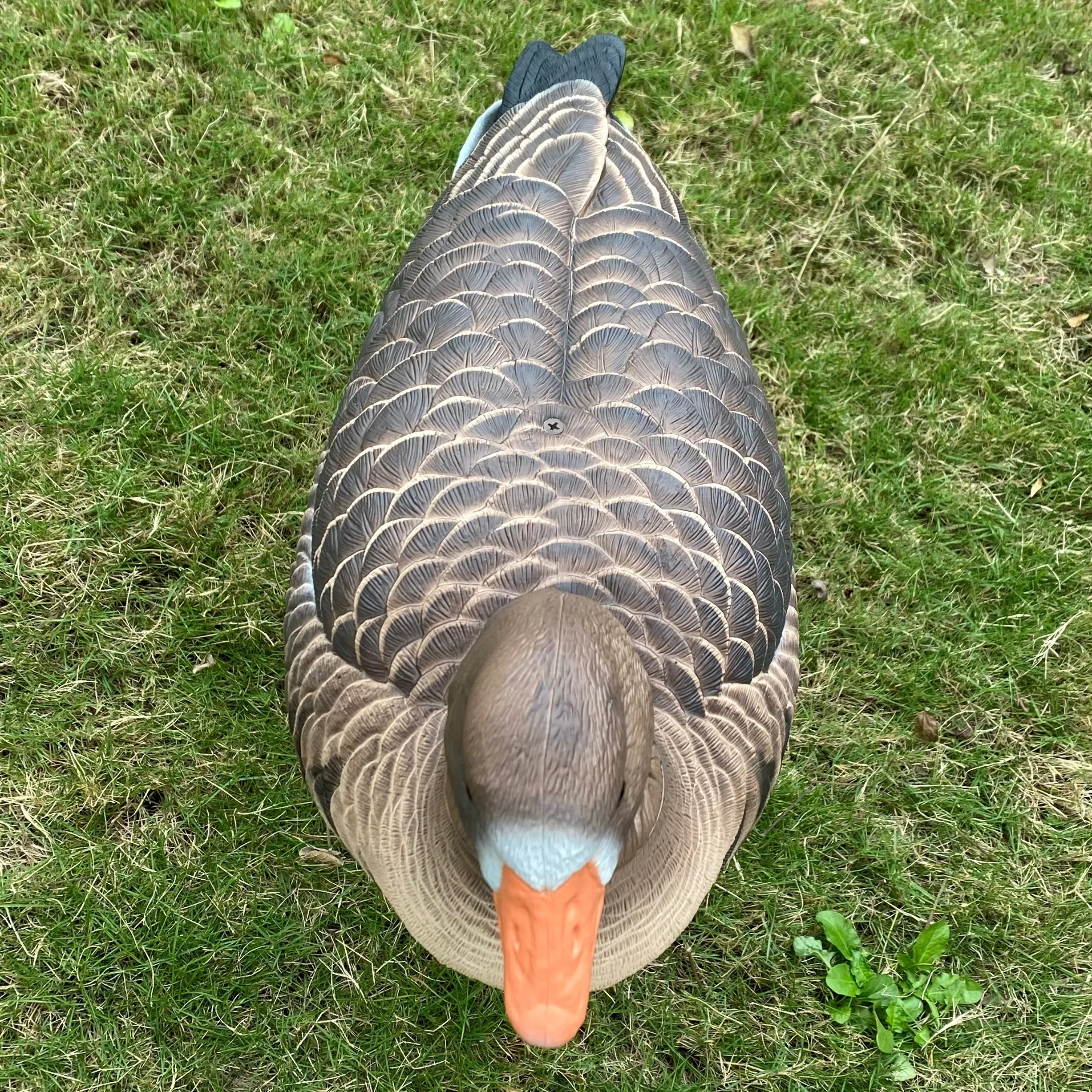 Hunting Plastic Custom Goose Silhouette Decoys Hunters Decoy Best Price