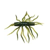 5 verde zucca erba