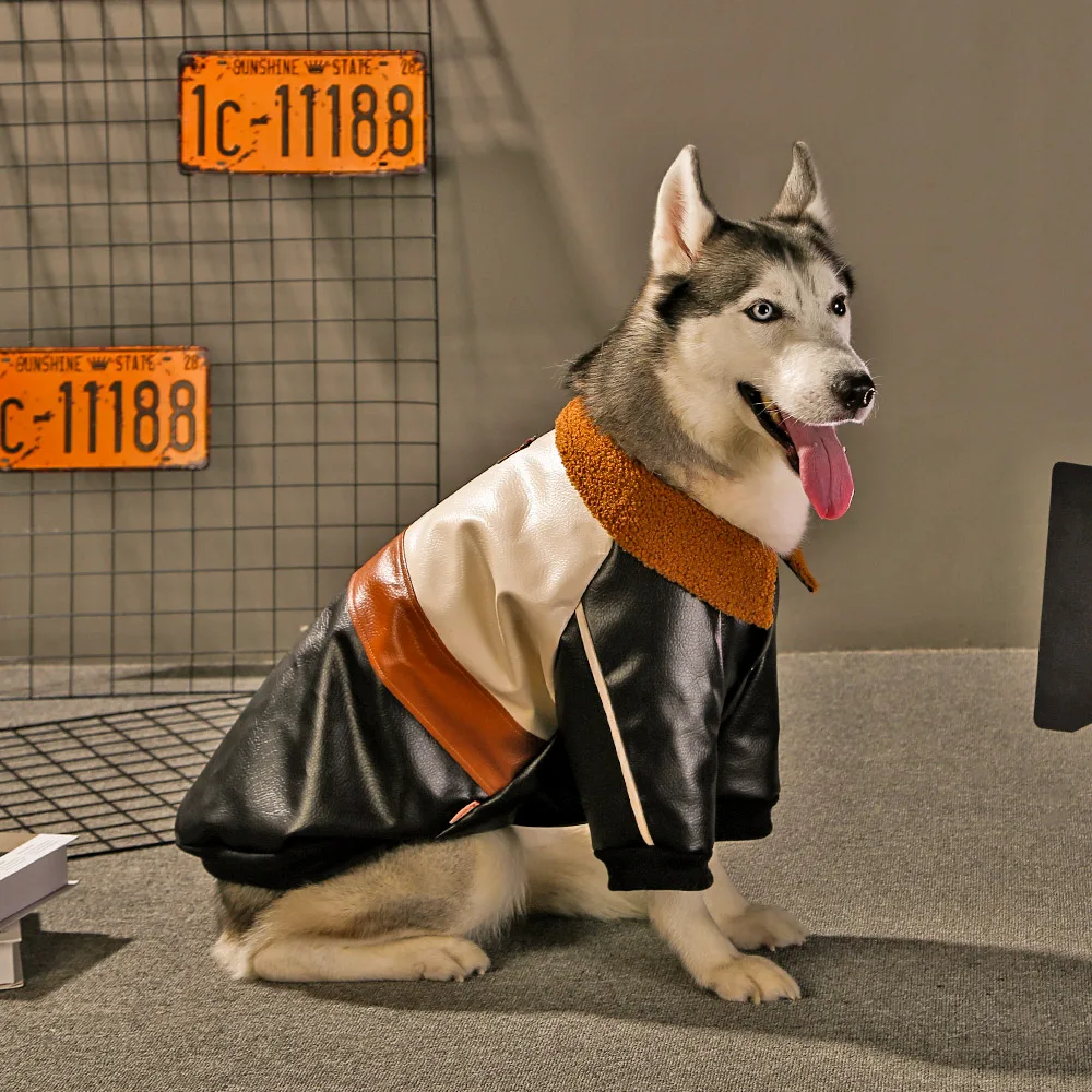 NACOCO Pu Leather Motorcycle Jacket, Dog Puppy Pet Clothes Leather Jacket,  Watherproof (M) : Amazon.ca: Pet Supplies