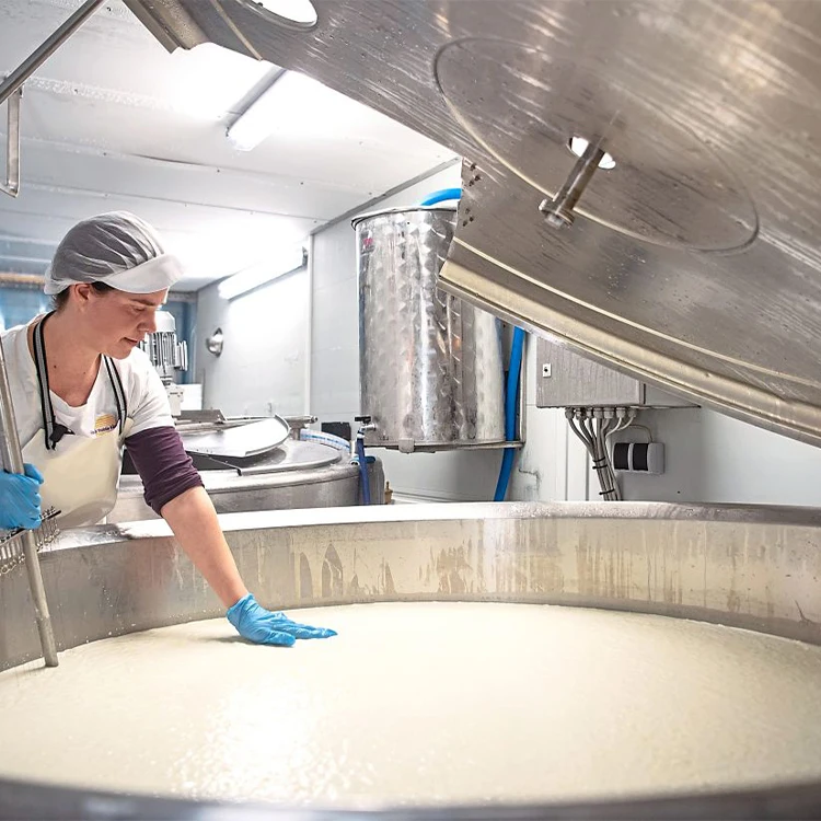 Feta Cheese Production Line for Cheese
