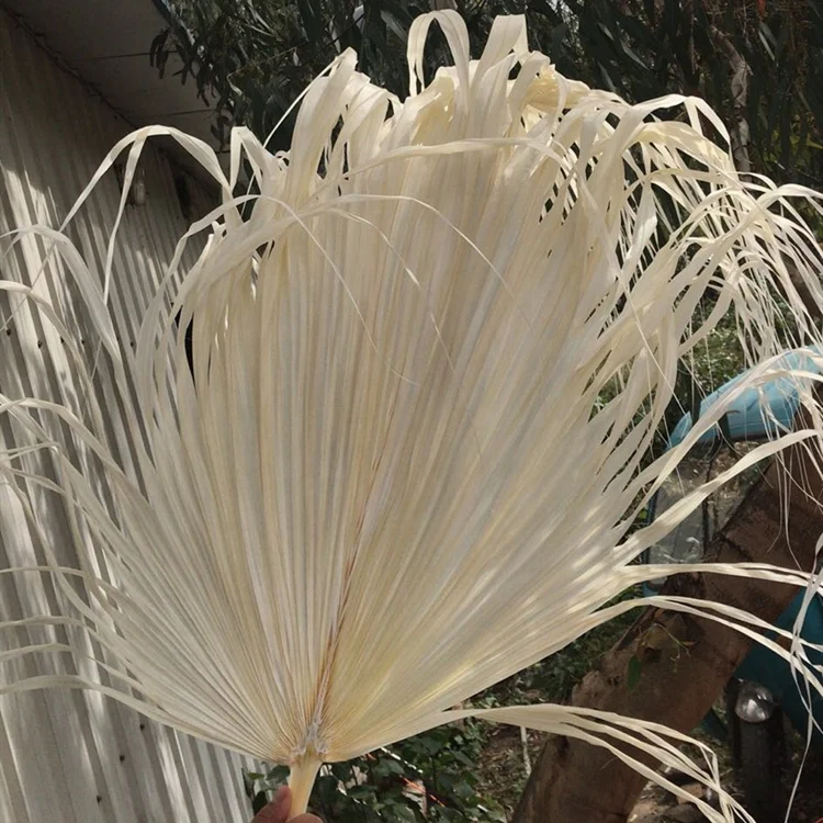 Exotic Dried Palm Leaves Arrangement With Chrysanthemum Flowers - Oem