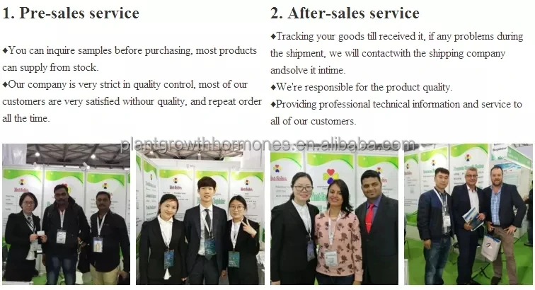 Service