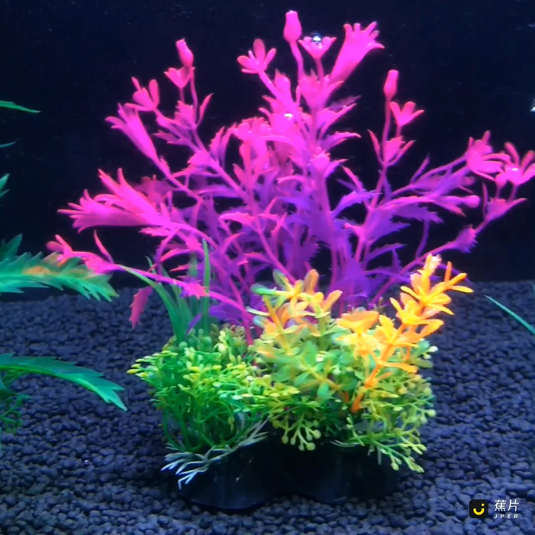 personalized aquarium decorations