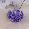 Light purple branch