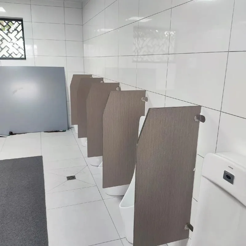 Moistureproof 12mm HPL Sheet Toilet Cubicle Partition Integral Building Partition Wall Shower Cubicle for Gym