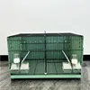 Verde con tablero