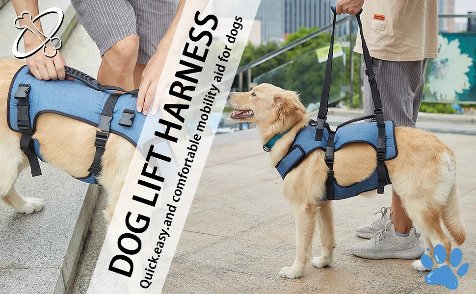 Dog Lift Harness Full Body Support & Recovery Sling Pet Rehabilitation Lifts Vest For Old Dog With Arthritis Walk