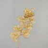 9 teste di orchidea farfalla ritagliate