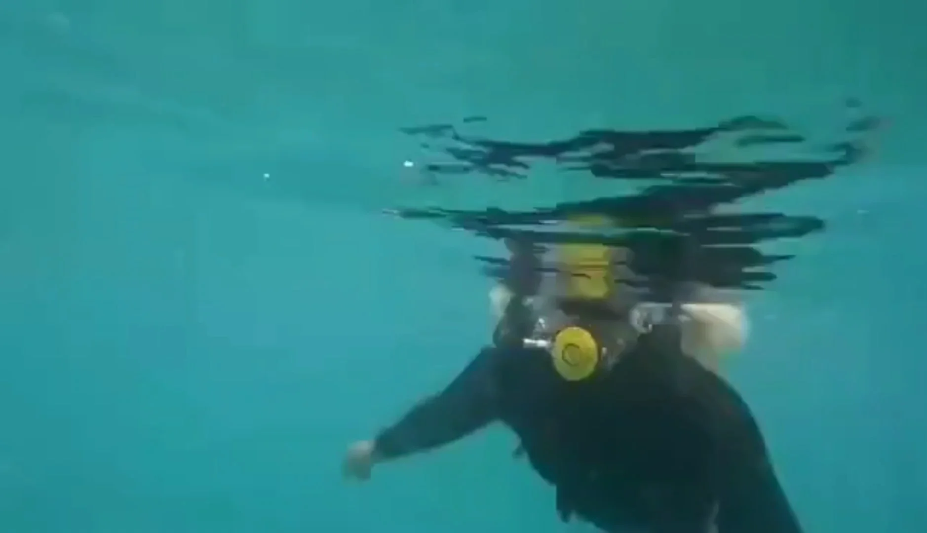 Dideep Free Diving Portable 2l Mini Scuba Diving Tank Equipments Buy