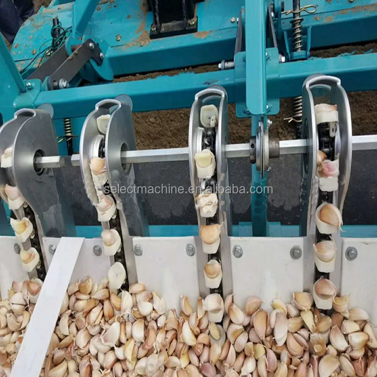 6 Rows Garlic Cultivating Machine / Allium Sativum Seeder Planting