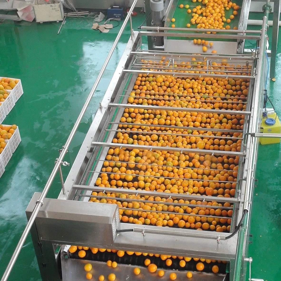 Fresh Orange Concentrate Juice Production Line