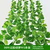 99 leaves, 5 pieces of glued pothos leaves