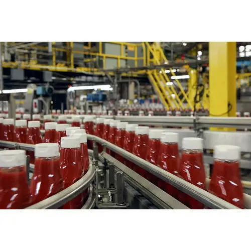 3000kg Tomato Paste and Sauce Processing Line with Evaporator Filled with Aseptic Big Drum